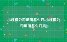 小规模公司证明怎么开(小规模公司证明怎么开具)