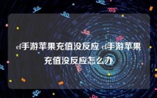 cf手游苹果充值没反应 cf手游苹果充值没反应怎么办