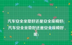 汽车安全坐垫好还是安全座椅好(汽车安全坐垫好还是安全座椅好呢)