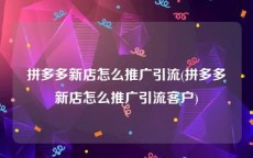 拼多多新店怎么推广引流(拼多多新店怎么推广引流客户)