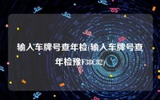 输入车牌号查年检(输入车牌号查年检豫F38C82)