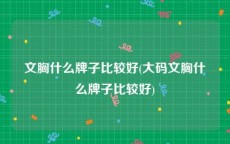 文胸什么牌子比较好(大码文胸什么牌子比较好)