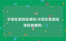 小型在家创业项目(小型在家创业项目有哪些)