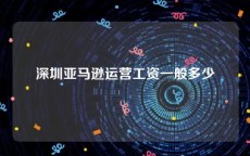 深圳亚马逊运营工资一般多少