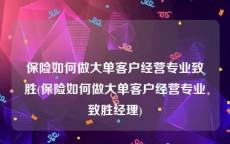 保险如何做大单客户经营专业致胜(保险如何做大单客户经营专业致胜经理)