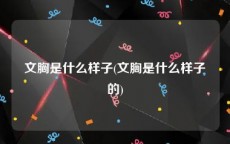 文胸是什么样子(文胸是什么样子的)