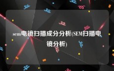 sem电镜扫描成分分析(SEM扫描电镜分析)