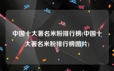 中国十大著名米粉排行榜(中国十大著名米粉排行榜图片)