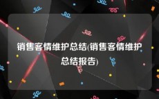 销售客情维护总结(销售客情维护总结报告)