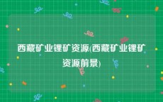 西藏矿业锂矿资源(西藏矿业锂矿资源前景)