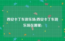 西安卡丁车游乐场(西安卡丁车游乐场在哪里)