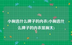 小胸选什么牌子的内衣(小胸选什么牌子的内衣显胸大)