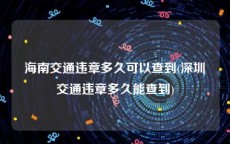 海南交通违章多久可以查到(深圳交通违章多久能查到)