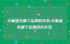 小胸适合哪个品牌的内衣(小胸适合哪个品牌的内衣女)