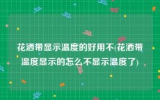 花洒带显示温度的好用不(花洒带温度显示的怎么不显示温度了)