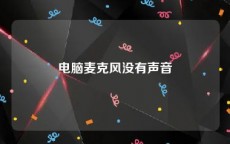 电脑麦克风没有声音