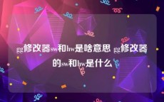 gg修改器sw和hw是啥意思 gg修改器的sw和hw是什么