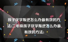 孩子厌学叛逆怎么办最有效的方法(二年级孩子厌学叛逆怎么办最有效的方法)