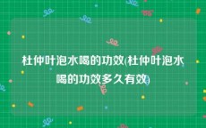 杜仲叶泡水喝的功效(杜仲叶泡水喝的功效多久有效)