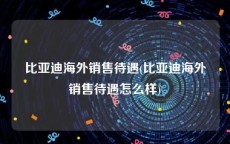 比亚迪海外销售待遇(比亚迪海外销售待遇怎么样)