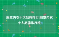 胸罩内衣十大品牌排行(胸罩内衣十大品牌排行榜)