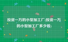 投资一万的小型加工厂(投资一万的小型加工厂多少钱)