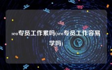 seo专员工作累吗(seo专员工作容易学吗)