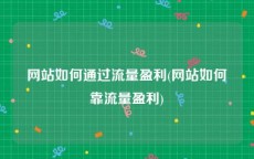 网站如何通过流量盈利(网站如何靠流量盈利)