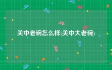关中老碗怎么样(关中大老碗)