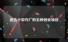 适合小型办厂的五种创业项目