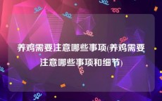 养鸡需要注意哪些事项(养鸡需要注意哪些事项和细节)