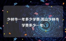 少林寺一年多少学费(嵩山少林寺学费多少一年)