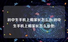 初中生手机上瘾家长怎么治(初中生手机上瘾家长怎么治他)