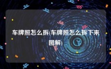 车牌照怎么拆(车牌照怎么拆下来图解)