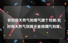 农村用天然气和煤气哪个划算(农村用天然气划算还是用煤气划算)
