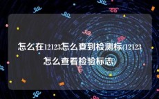 怎么在12123怎么查到检测标(12123怎么查看检验标志)