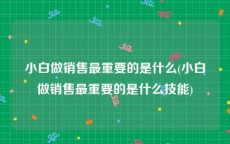 小白做销售最重要的是什么(小白做销售最重要的是什么技能)