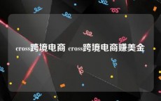 cross跨境电商 cross跨境电商赚美金