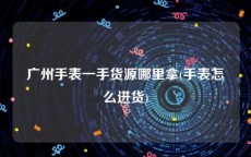 广州手表一手货源哪里拿(手表怎么进货)