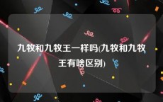 九牧和九牧王一样吗(九牧和九牧王有啥区别)