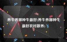 养牛养哪种牛最好(养牛养哪种牛最好农村散养)