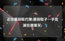正宗莆田鞋代理(莆田鞋子一手货源在哪里买)