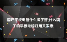 国产平板电脑什么牌子好(什么牌子的平板电脑好用又实惠)