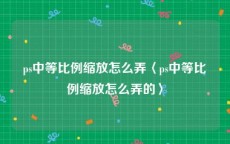 ps中等比例缩放怎么弄〈ps中等比例缩放怎么弄的〉