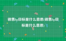 销售bp目标是什么意思(销售bp目标是什么意思)