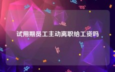 试用期员工主动离职给工资吗