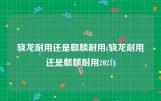 骁龙耐用还是麒麟耐用(骁龙耐用还是麒麟耐用2021)