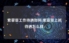 索菲亚工作待遇如何(索菲亚上班待遇怎么样)
