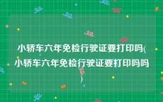 小轿车六年免检行驶证要打印吗(小轿车六年免检行驶证要打印吗吗)