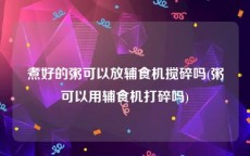 煮好的粥可以放辅食机搅碎吗(粥可以用辅食机打碎吗)